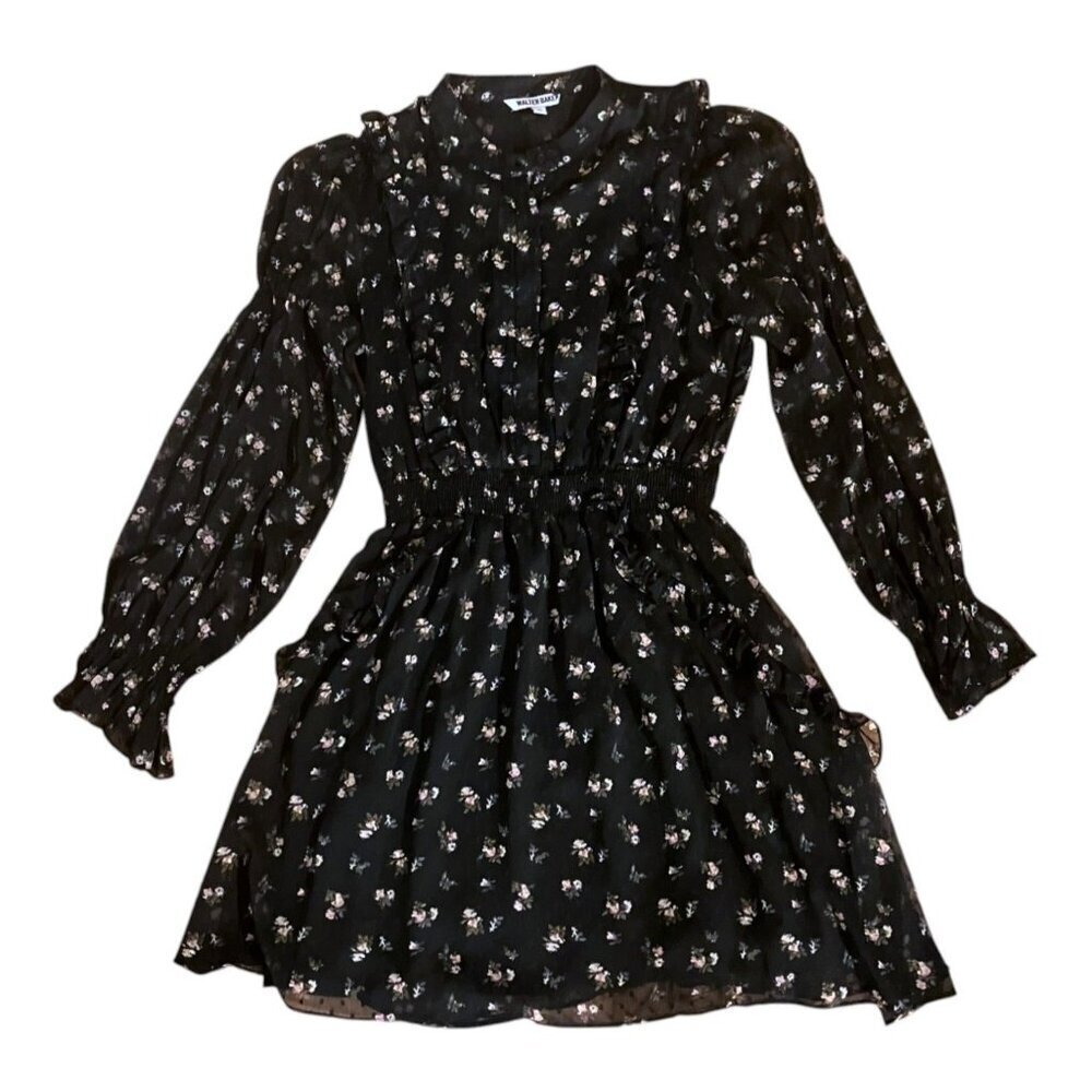 Walter Baker Mini Dress 10 Fit Flare Semi Sheer Ruffles Whimsigoth Wedding Guest